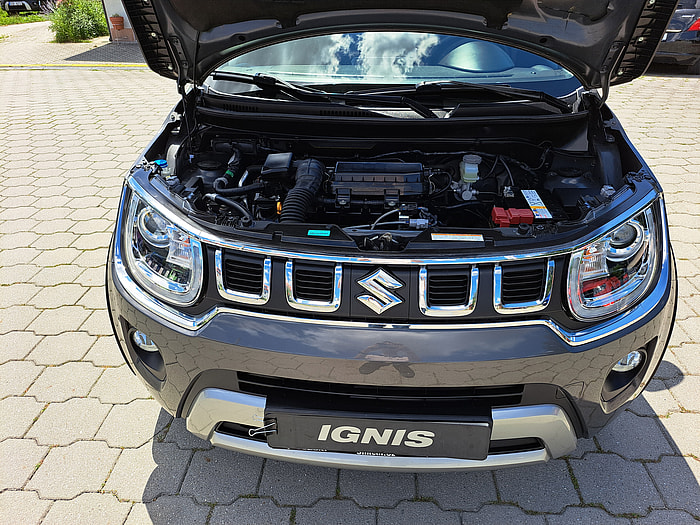Ignis